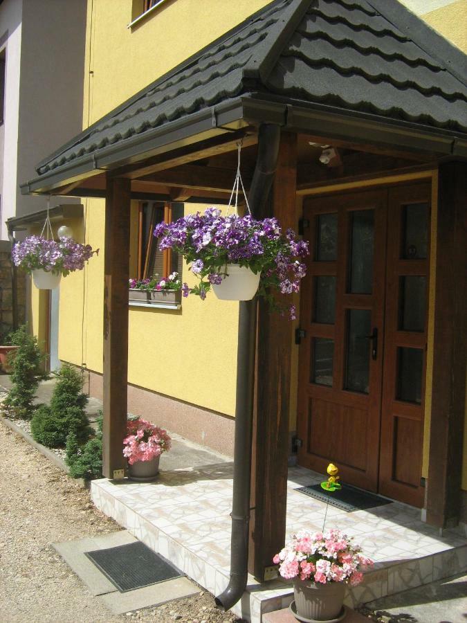 Guesthouse Mario โคเรนนิซา ภายนอก รูปภาพ
